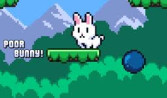Poor Bunny